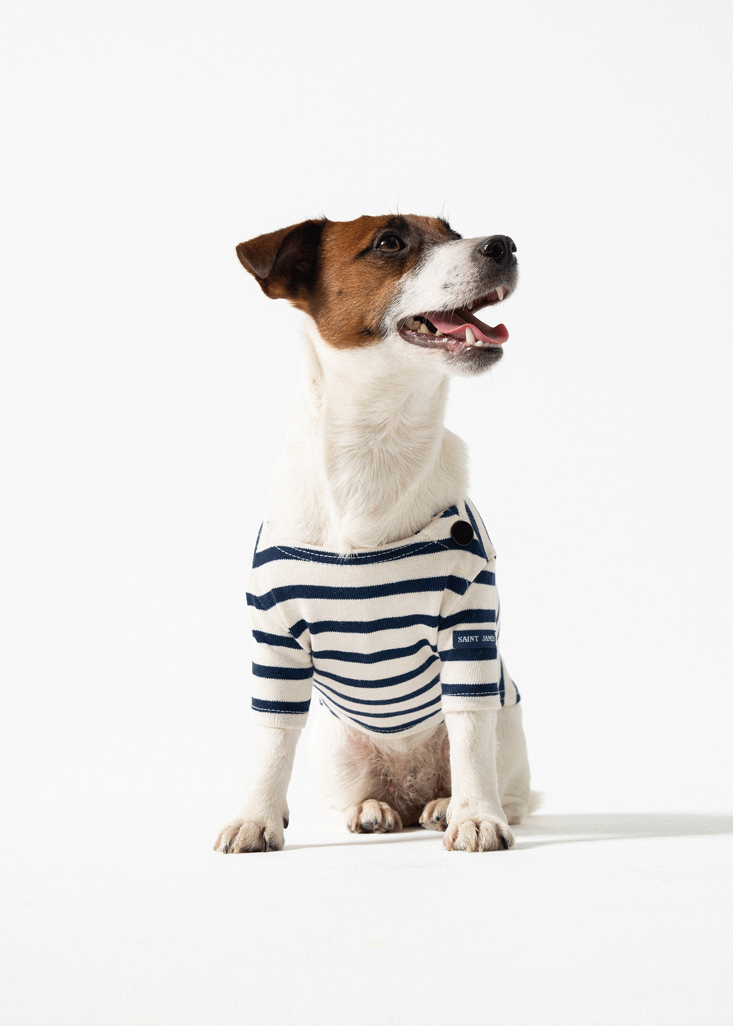 Saint James PARISIAN PUP SHIRT - Authentic Breton Shirt for Dog | Heavyweight Cotton (ECRU / NAVY)