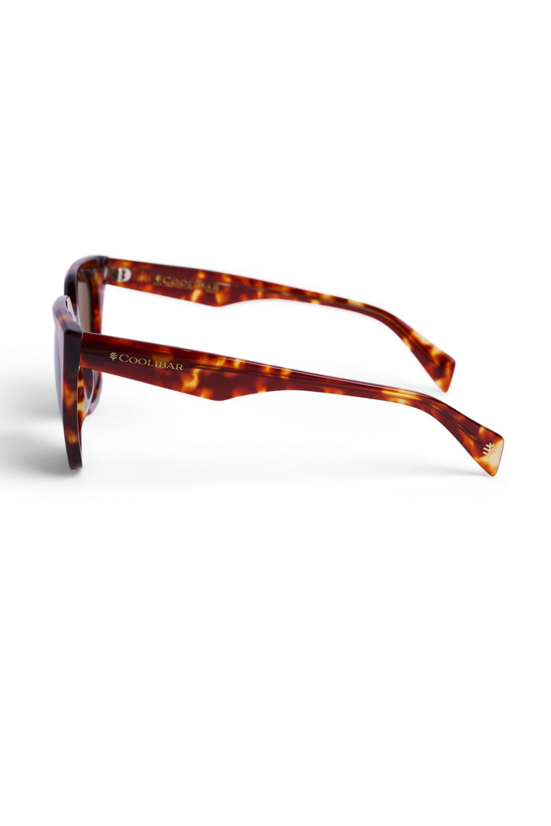 Solessia | Polarized Sunglasses | Amber Tortoise