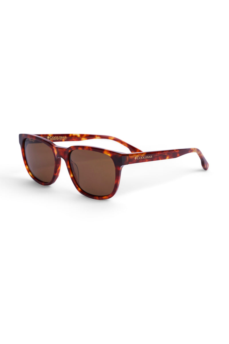 Solaira | Polarized Sunglasses | Amber Tortoise