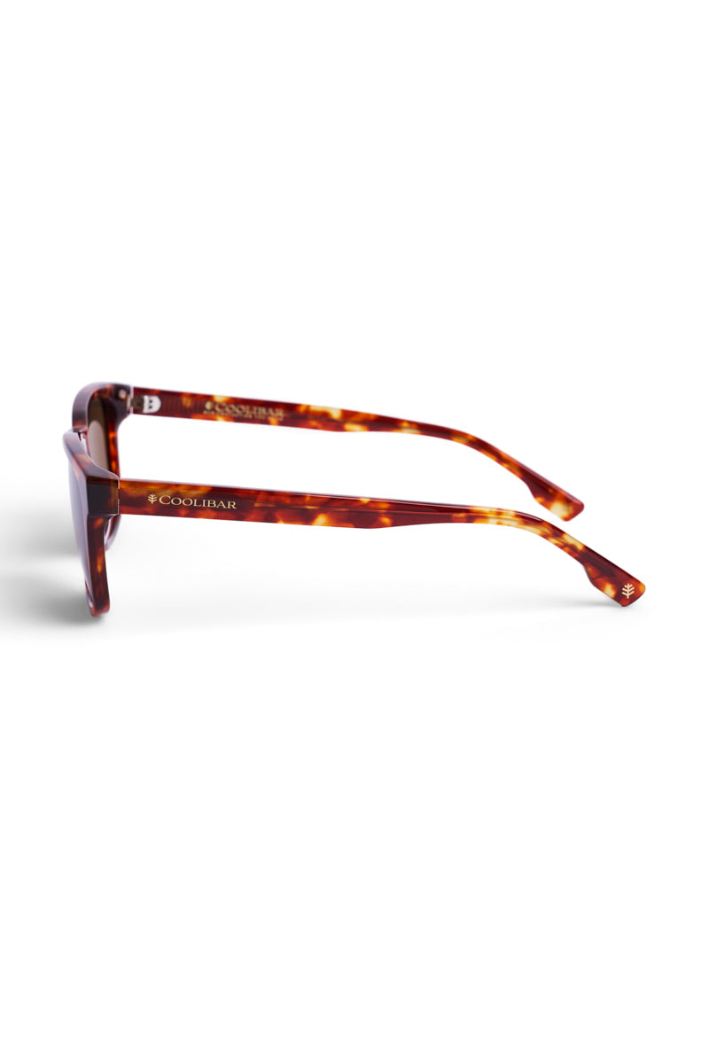 Solaira | Polarized Sunglasses | Amber Tortoise