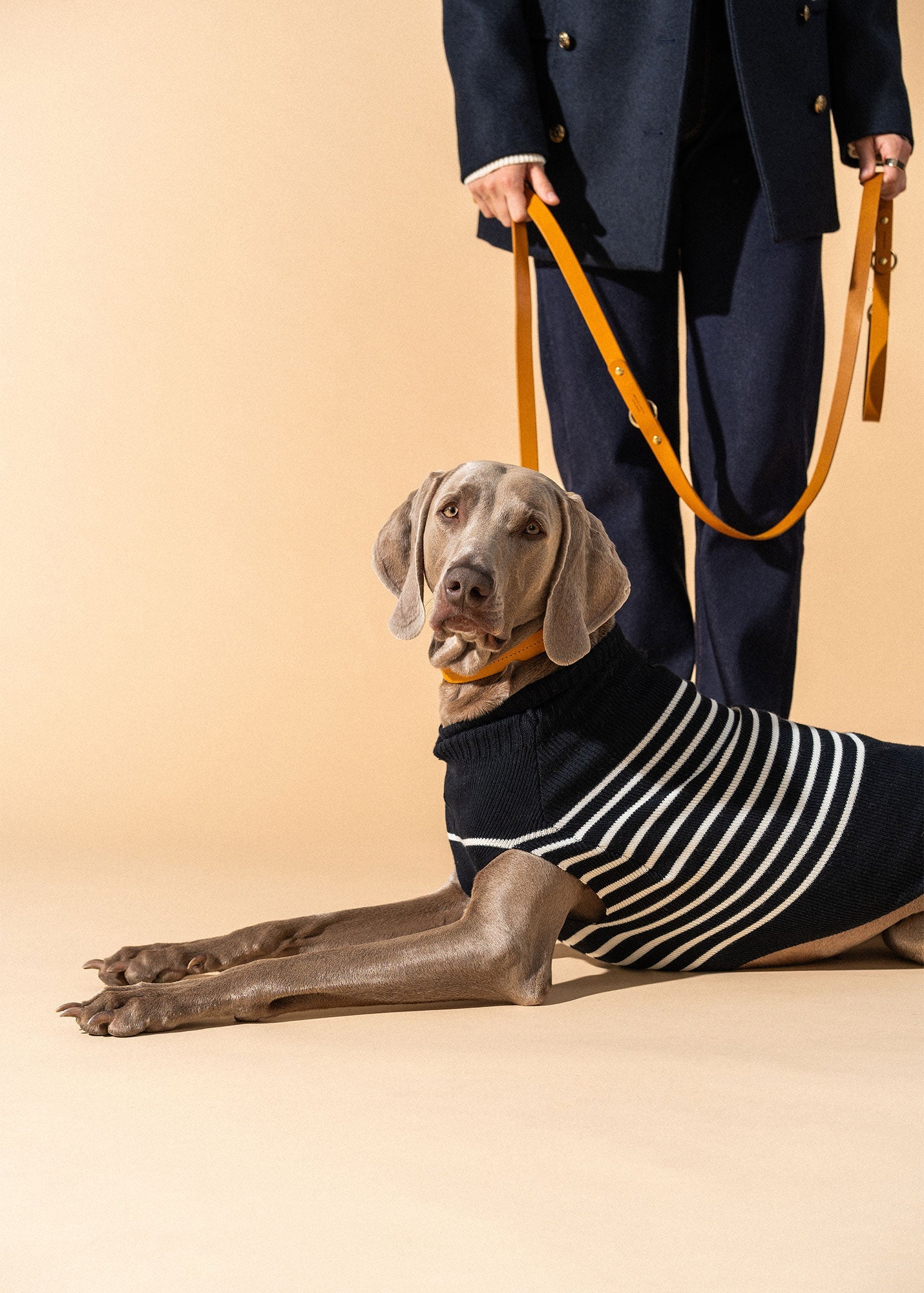 Saint James PARISIAN PUP SWEATER - Authentic Breton Striped Sweater for Dogs | Wool Blend (NAVY / IVORY)