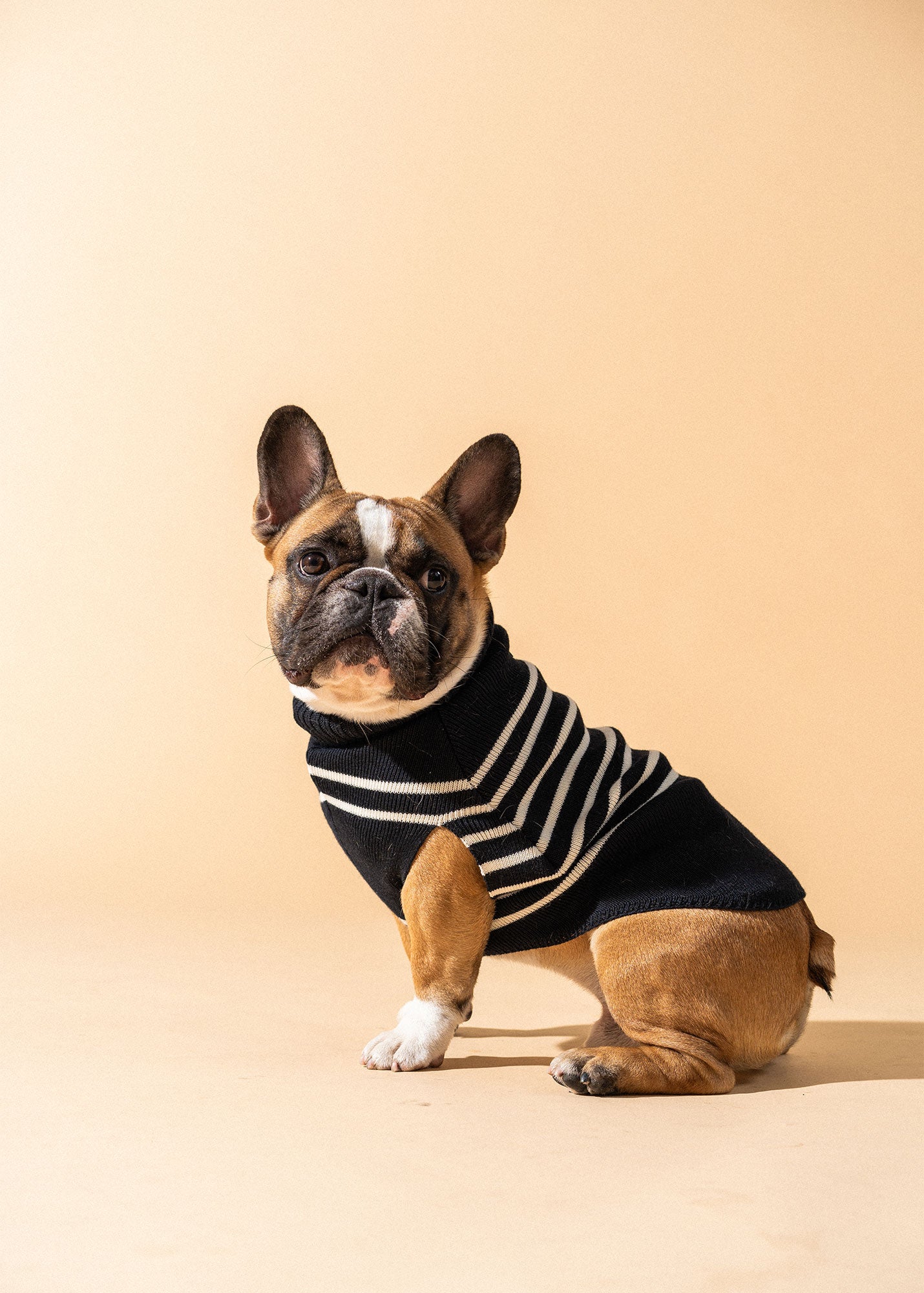 Saint James PARISIAN PUP SWEATER - Authentic Breton Striped Sweater for Dogs | Wool Blend (NAVY / IVORY)