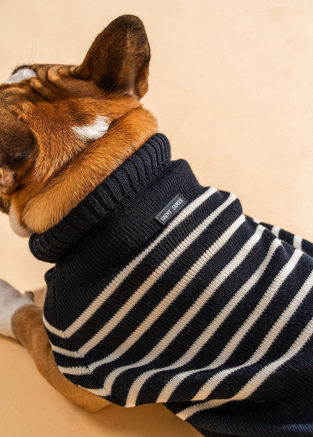 Saint James PARISIAN PUP SWEATER - Authentic Breton Striped Sweater for Dogs | Wool Blend (NAVY / IVORY)