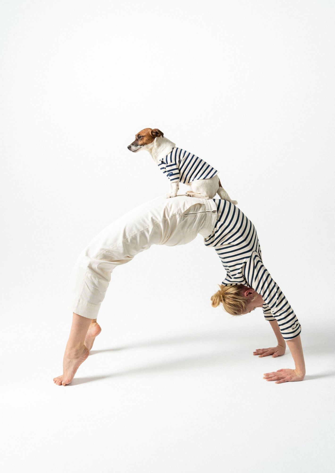 Saint James PARISIAN PUP SHIRT - Authentic Breton Shirt for Dog | Heavyweight Cotton (ECRU / NAVY)