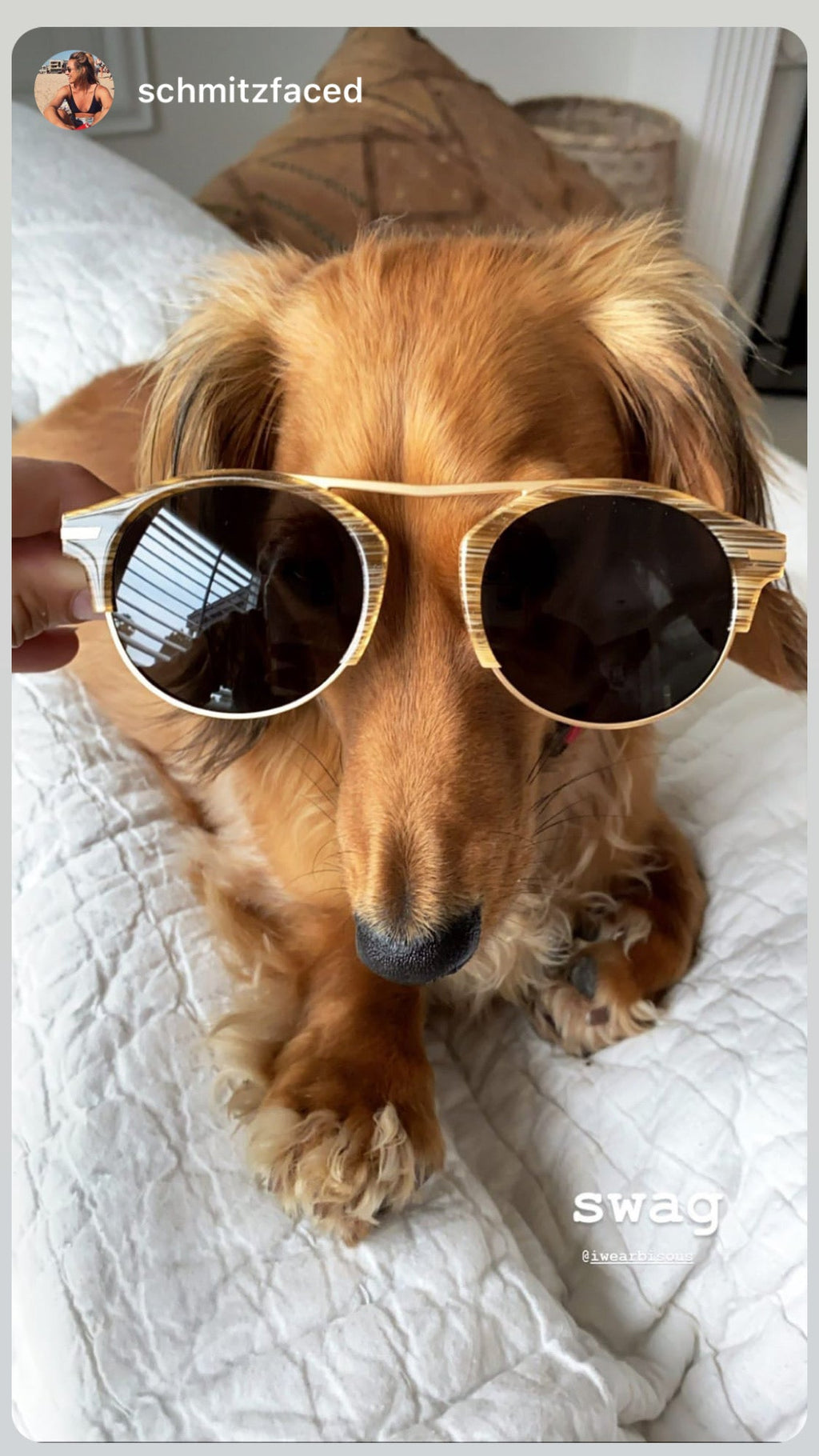 Bisous Sunglasses The Blondes Beach Blonde Gold