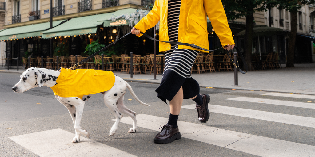 Saint James PARISIAN PUP RAINCOAT - Authentic Waterproof Raincoat for Dogs (YELLOW)