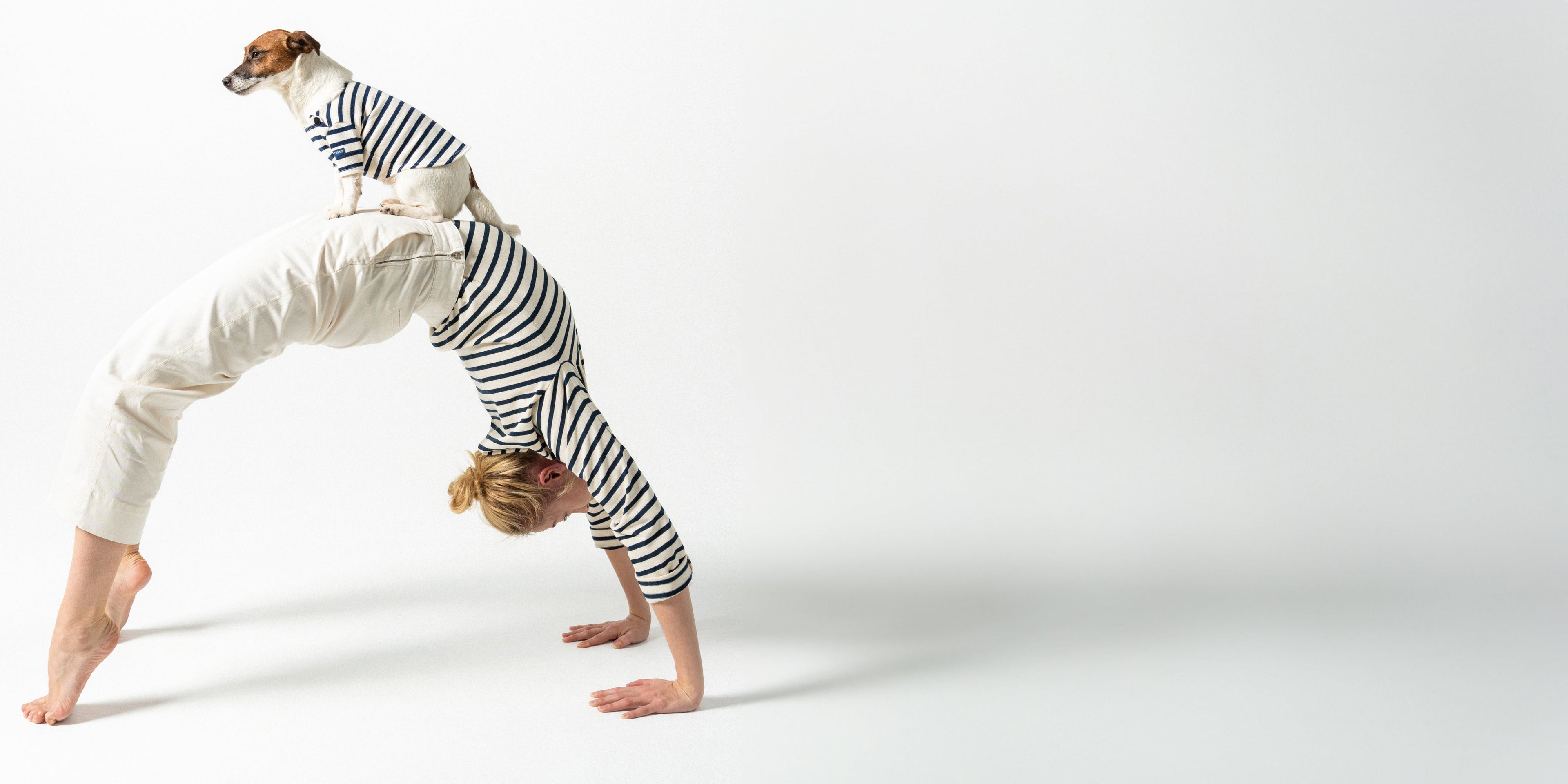 Saint James PARISIAN PUP SHIRT - Authentic Breton Shirt for Dog | Heavyweight Cotton (ECRU / NAVY)