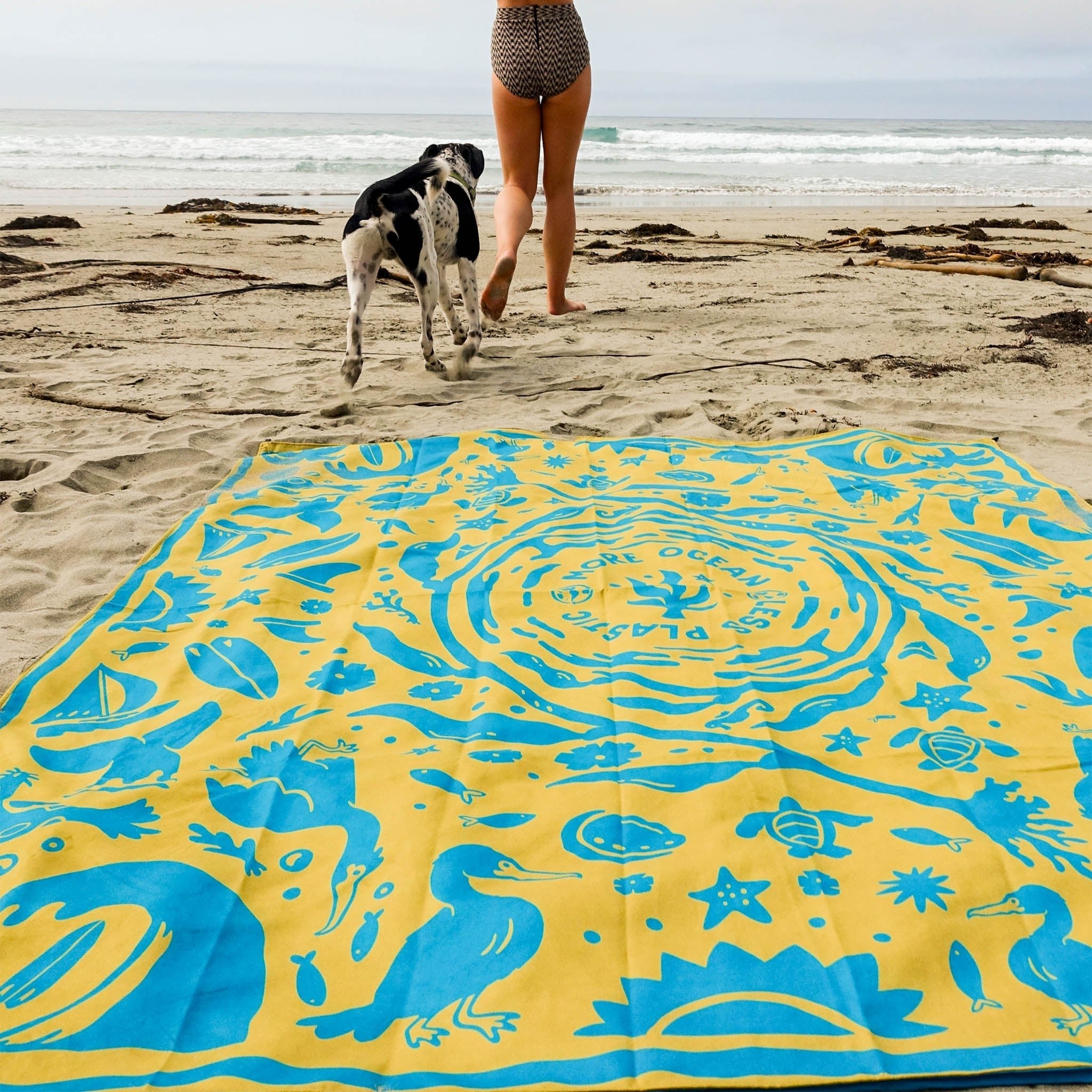 Nomadix Festival Blanket: Nomadix x 5 Gyres: Kelp Swirl