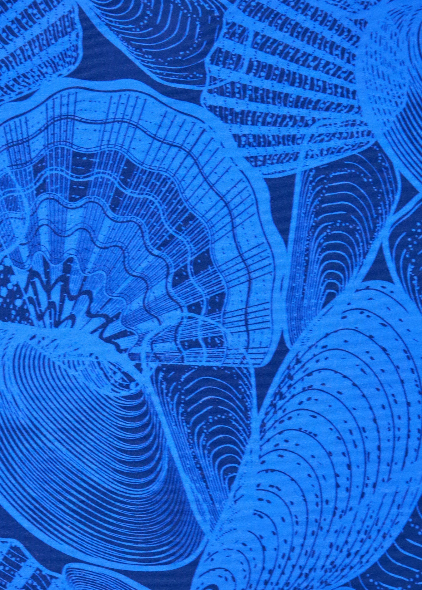 Cabana Life San Sebastian Sleeveless Shift Dress